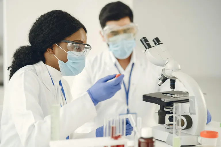 Imagem da notícia Chamada Universal 2026 registra recorde de submissões