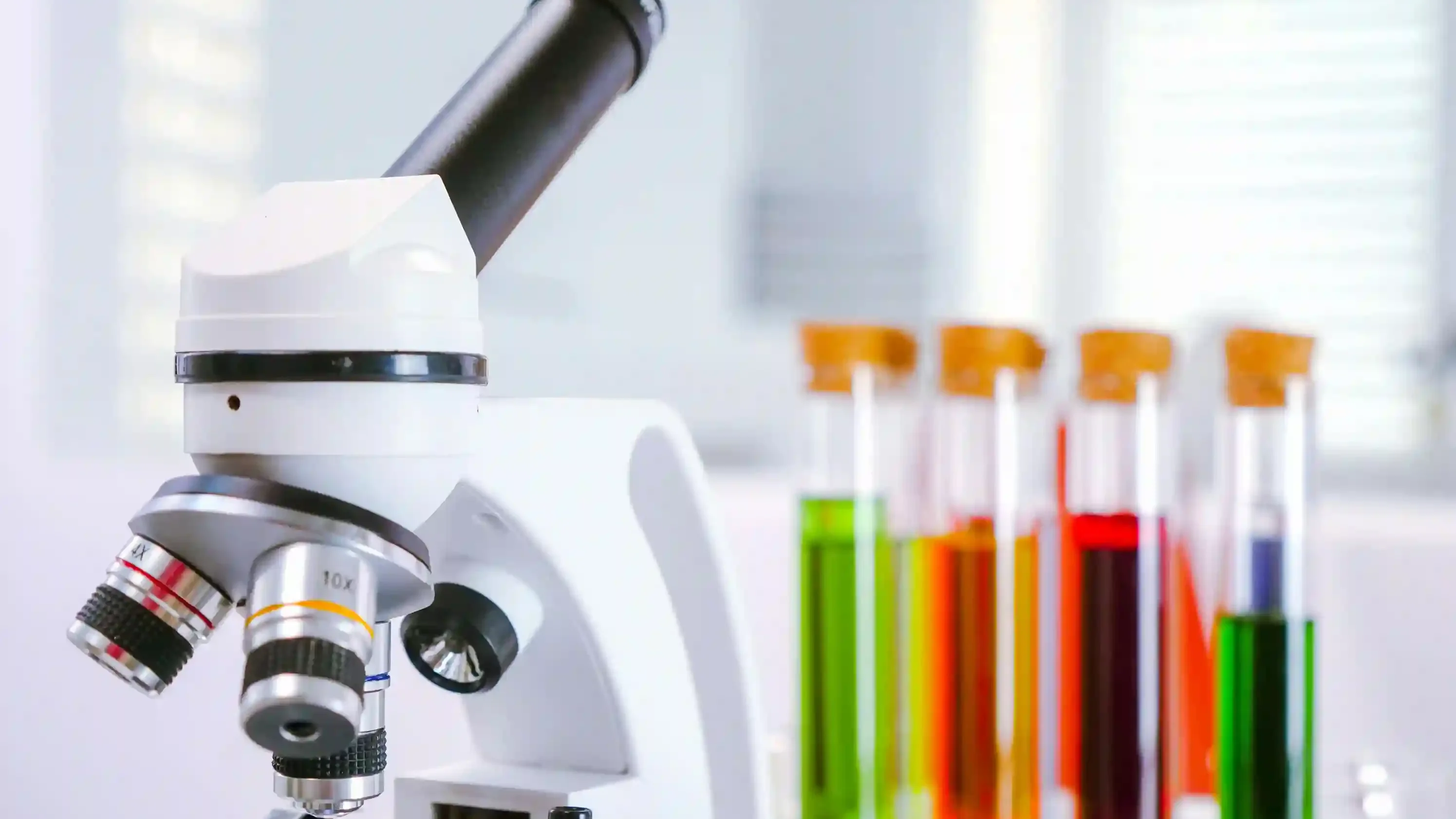 Grants and Scholarships